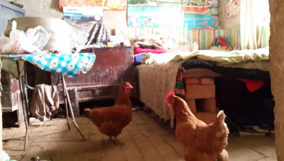 客厅另外一端就是家人的床铺.jpg 客厅另外一端就是家人的床铺.jpg