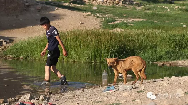 QQ截图20160831085943.png QQ截图20160831085943.png