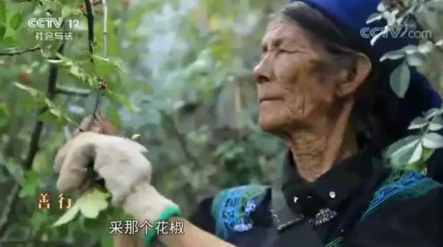 微信图片_20171008105724.jpg 微信图片_20171008105724.jpg