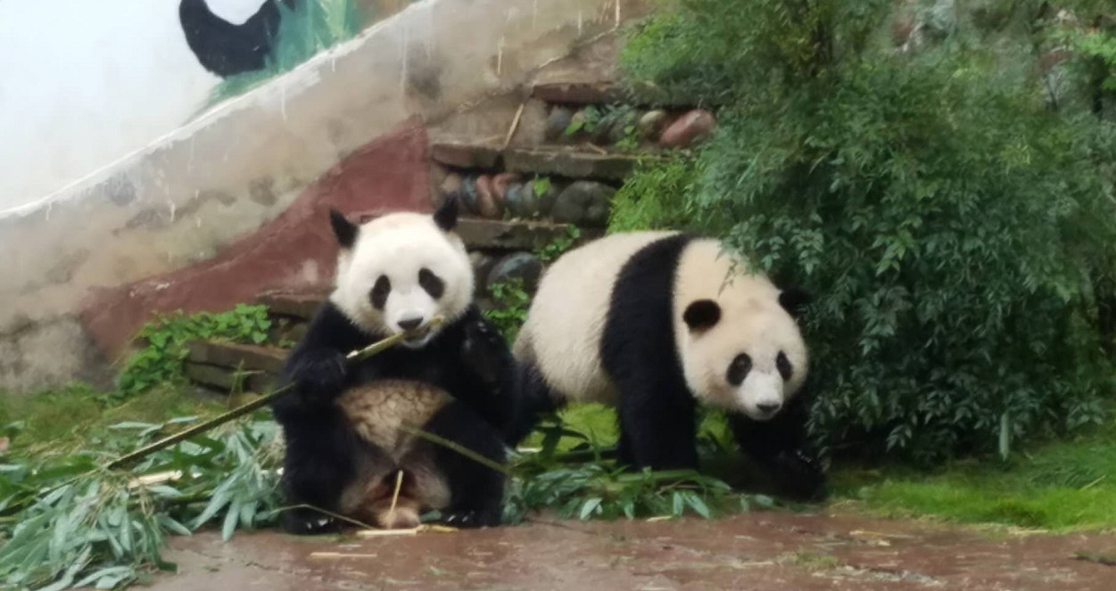 微信图片_20180926060804.jpg 微信图片_20180926060804.jpg
