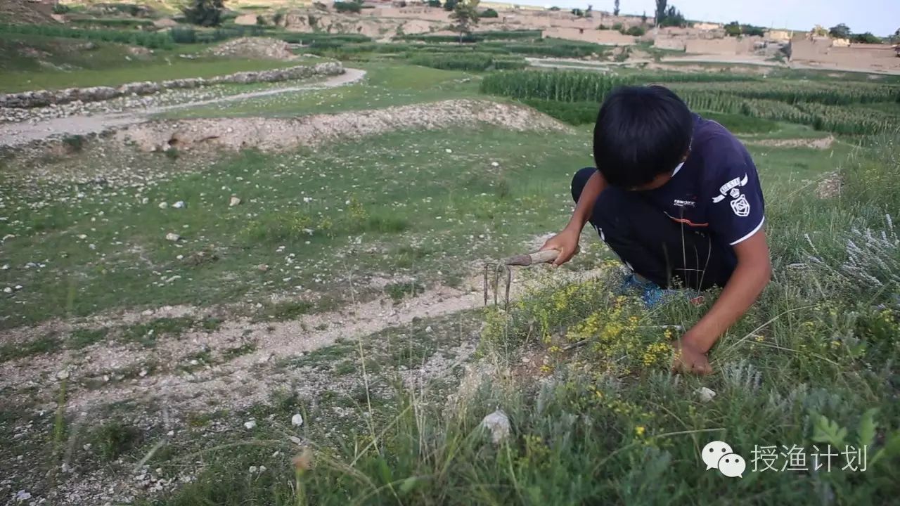 微信截图_20170407102350.png 微信截图_20170407102350.png